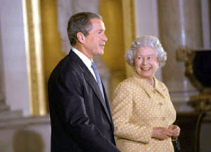 bush2.jpg